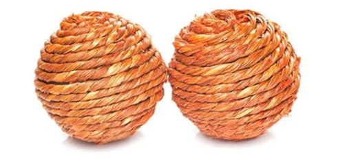 Συστροφή Όρχεως